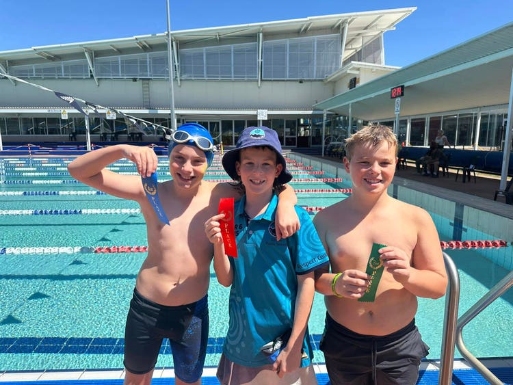 swimming carnival image