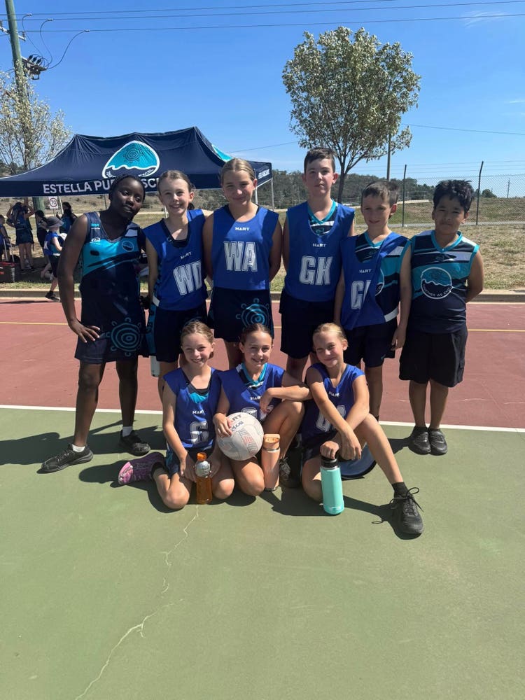 netball comp image