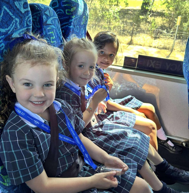 Learning about bus safety image